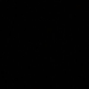 Meet your Posher, Leilenne